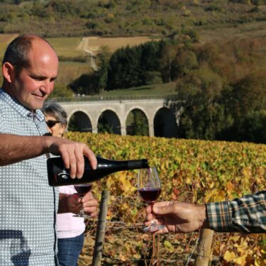 Domaine Bergeret François