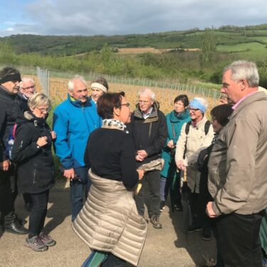 Domaine Bergeret Clothilde