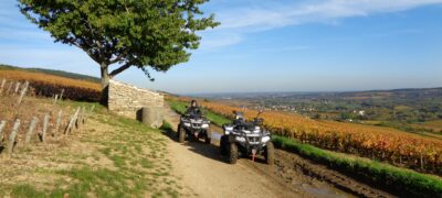 Balade en quad dans les vigne de Côte d'or