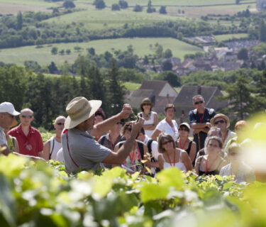 Domaine Monnot Nicolas