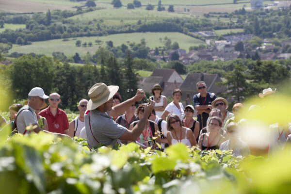 Domaine Monnot Nicolas