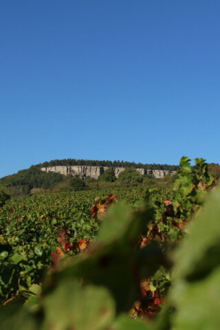 Vignes et falaise proche de Nolay