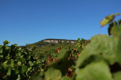 Vignes et falaise proche de Nolay