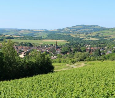 Vue de Nolay depuis le vignoble