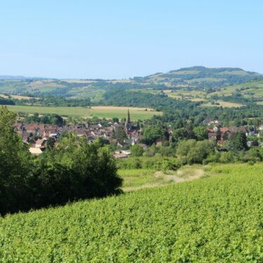 Vue de Nolay depuis le vignoble