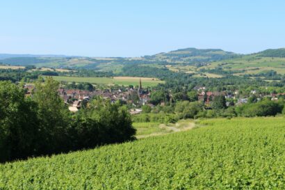 Vue de Nolay depuis le vignoble