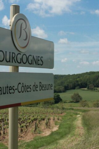 Vignoble Bourgogne Hautes-Côtes de Beaune