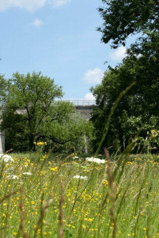 La voie des vignes passe sur le viaduc