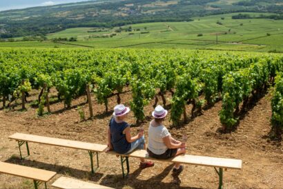 Pause au bord des vignes