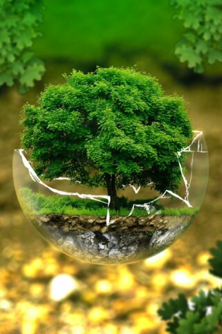 Protection de l'environnement