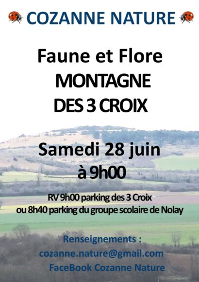 Agence de Tourisme de Nolay