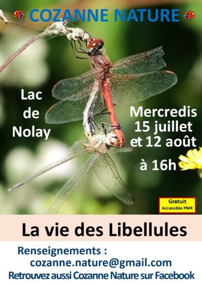 Agence de Tourisme de Nolay