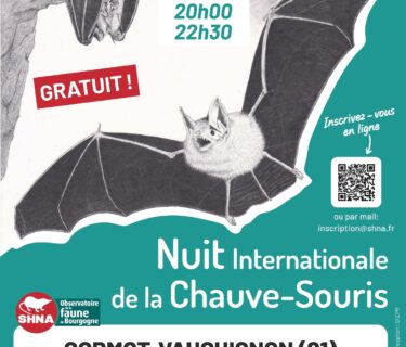 Agence de Tourisme de Nolay