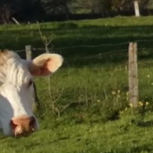 Agence de Tourisme de Nolay