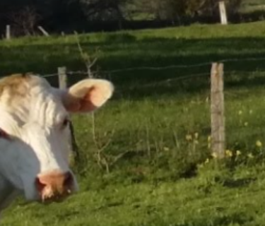 Agence de Tourisme de Nolay