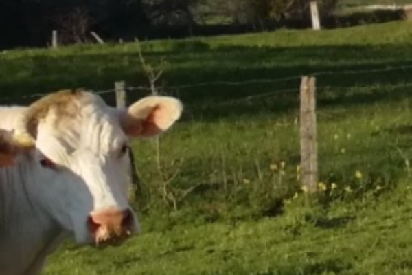 Agence de Tourisme de Nolay