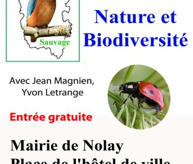 Agence de Tourisme de Nolay