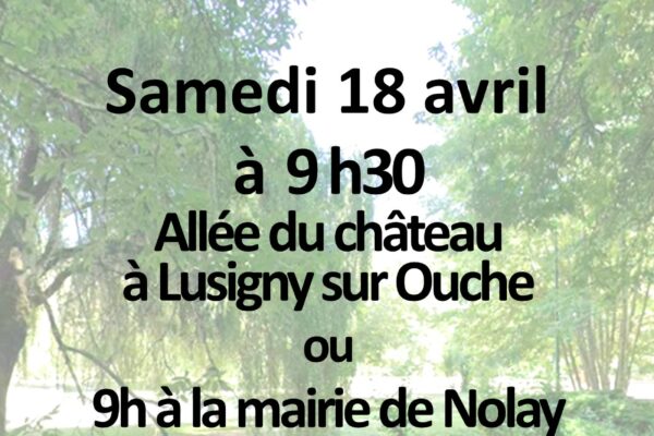 Agence de Tourisme de Nolay