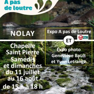 Agence de Tourisme de Nolay