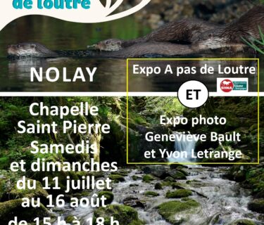 Agence de Tourisme de Nolay